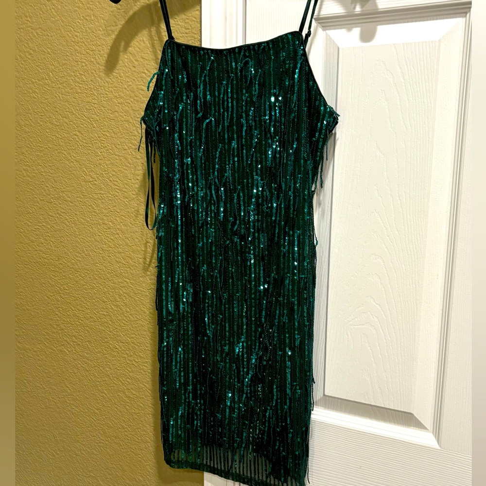 Sequin Tassel
Mesh Scoop Neck Mini size XS - Picture 3 of 8